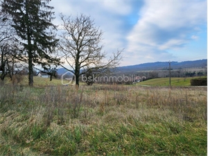terrain à la vente -   38160  SAINT ANTOINE L ABBAYE, surface 2742 m2 vente terrain - UBI455058062